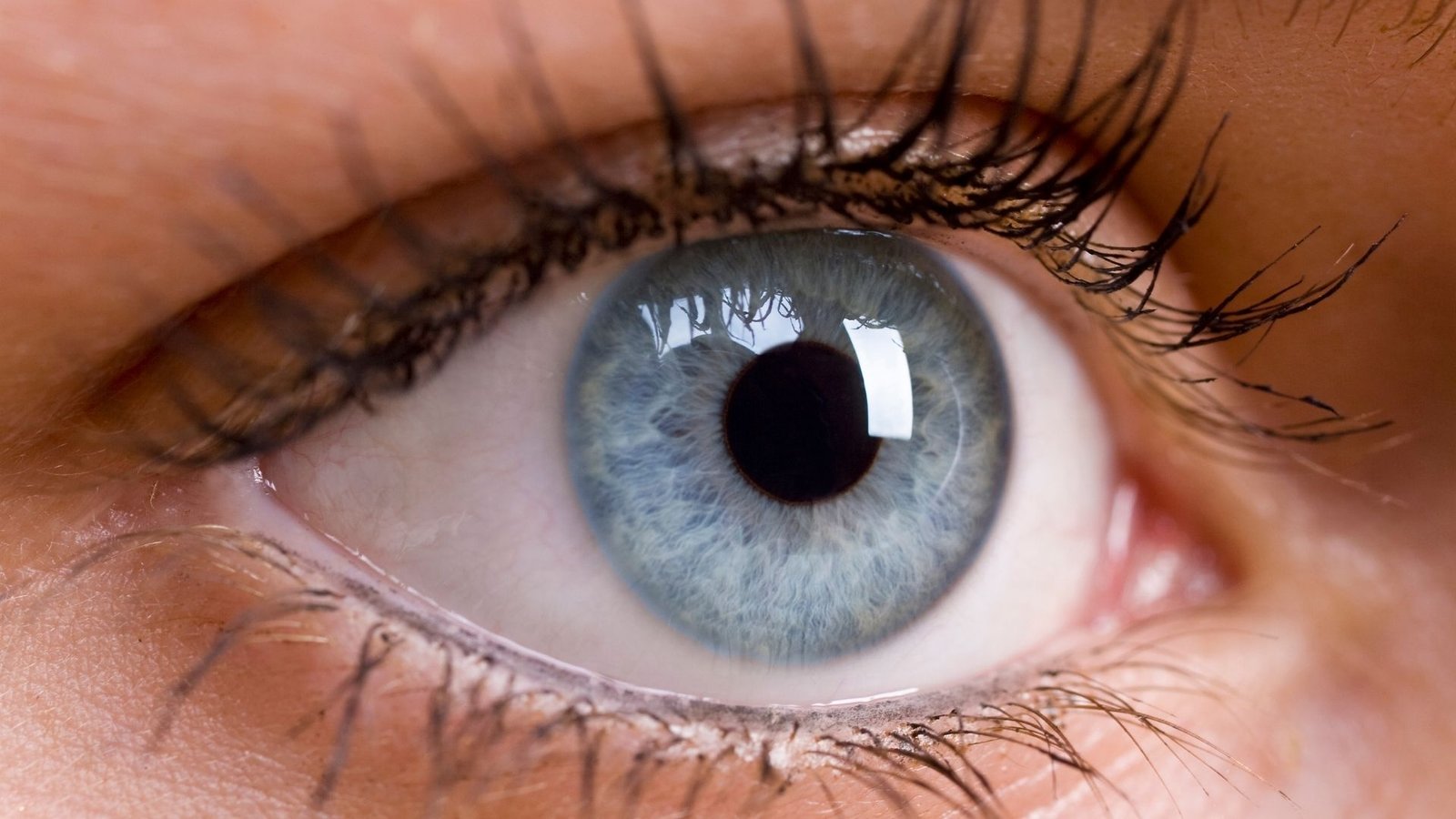 Biometria Óptica (LENSTAR) e Ultrassônica | Hospital de Olhos Vasconcelos Neto